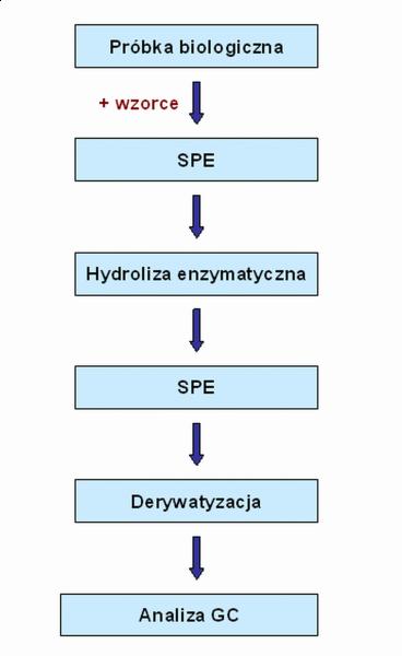 Rys. 2. Przygotowanie próbki biologicznej do analizy za pomocą chromatografii gazowej